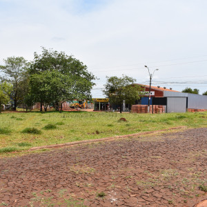 Terreno Ubicado en la ciudad de Obligado