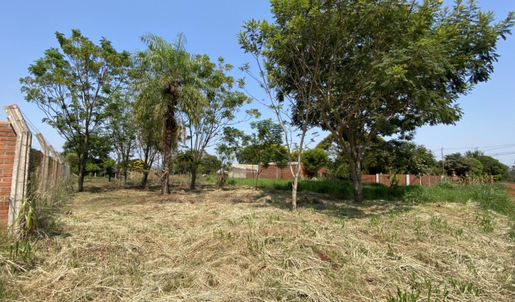 Terreno en venta en Hohenau