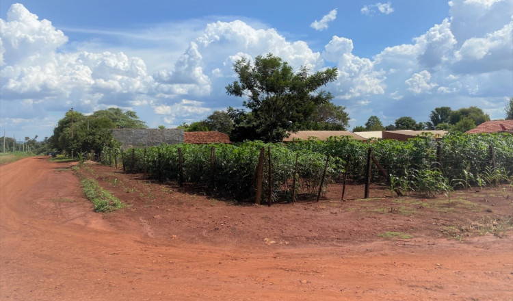 Terreno en Venta - Hohenau