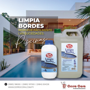 Limpia bordes para piscinas