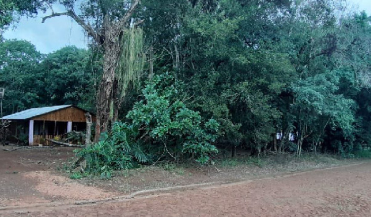 Terreno con casa en venta - Hohenau