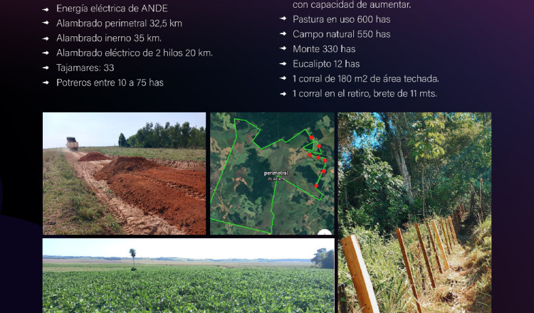 Terreno agrícola/ganadero